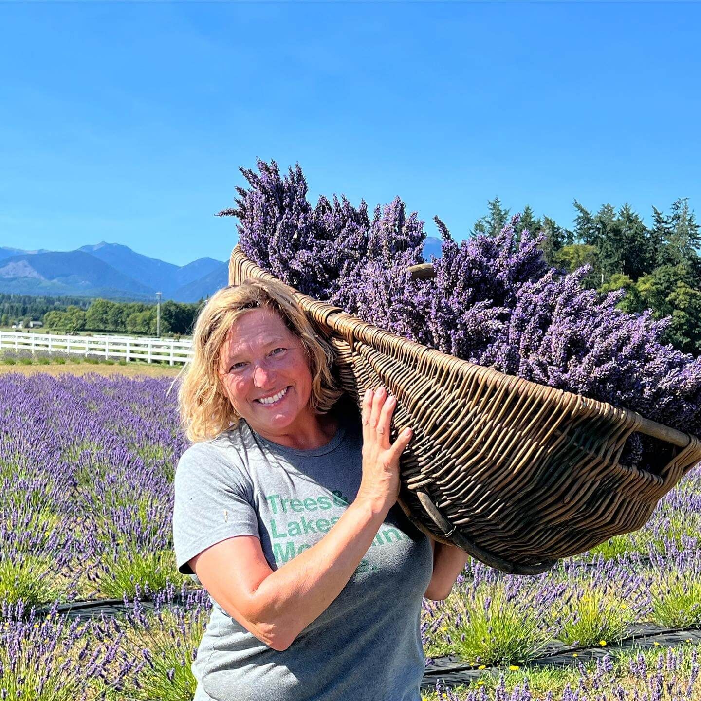 Ginger Wierzbanowski